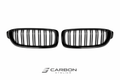 Front Kidney Grille Replacement for BMW 3 Series F30 / F31 (2012–2018)